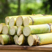 Sugarcane